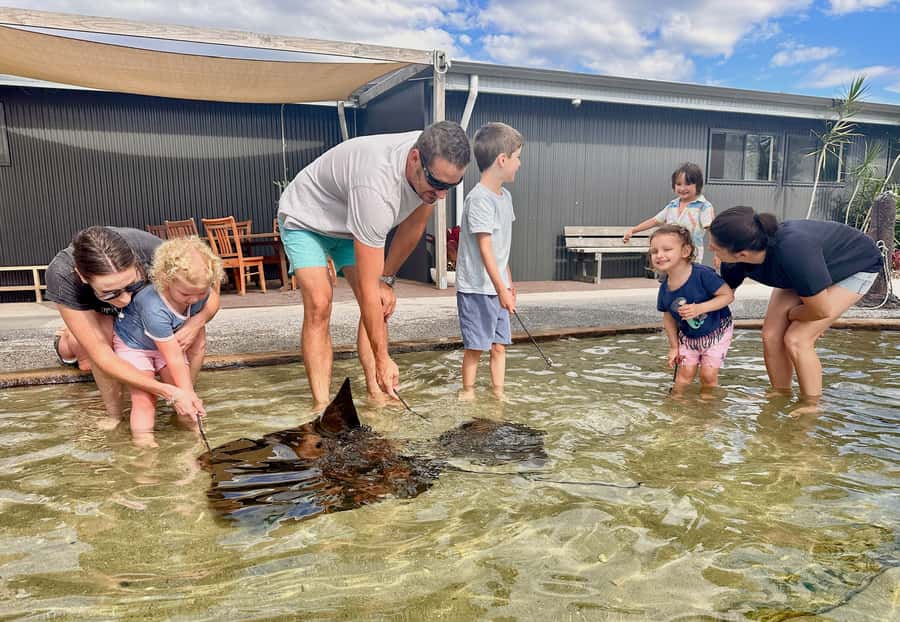 Anna Bay: Irukandji Entry Pass with Shallows Encounter - Before you go: shoes, clothes, sunscreen, and the rules that matter