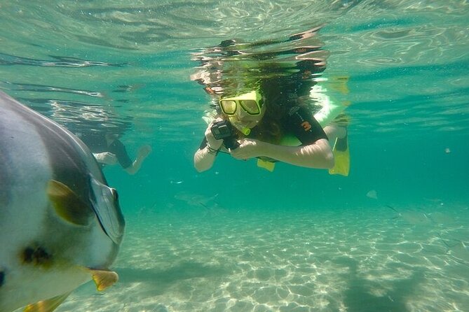 Aquascene Circumnavigation Magnetic Island Tour - Who this tour suits best on Magnetic Island