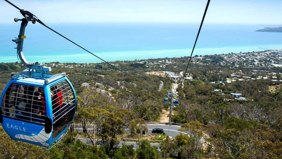 Arthurs Seat Eagle: Scenic Gondola Ride - Key Points to Know Before You Go