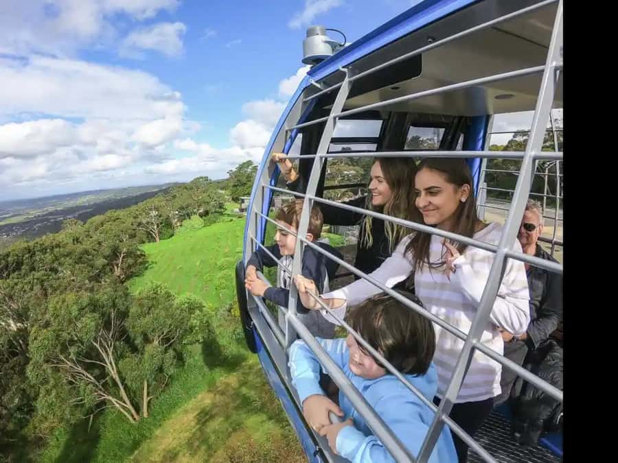 Arthurs Seat Eagle: Scenic Gondola Ride - The 15-Minute Gondola Flight Over Arthurs Seat State Park