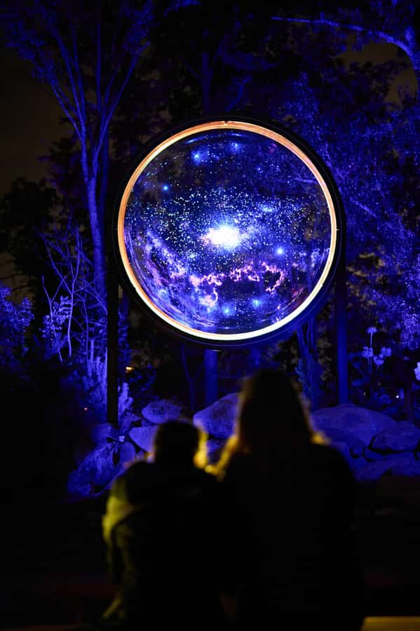 Astra Lumina Entry at Currumbin Wildlife Sanctuary - The food situation: what you should plan for