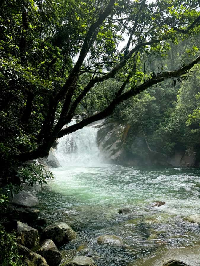 Atherton Tablelands: Lakes, Waterfalls, Rainforest Day Tour - Milla Milla Falls: swim behind a 30 meter waterfall