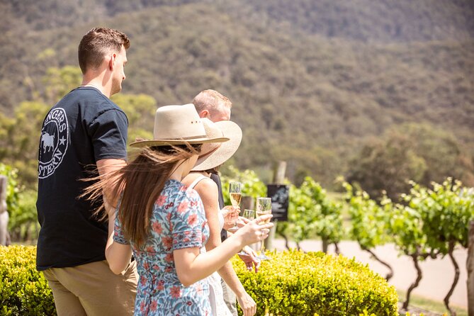 Audrey Wilkinson Vineyard: Picnic with Wine Masterclass Tasting - What’s included for $68.14: where the value actually shows up