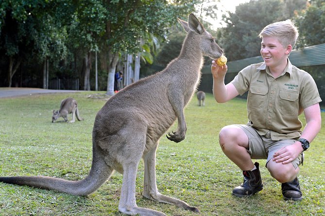 Australia Zoo Day Trip from Brisbane - Key points I’d use to decide fast