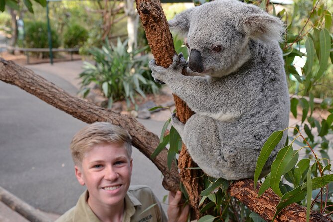 Australia Zoo Day Trip from Brisbane - Australia Zoo time inside: what you can realistically see
