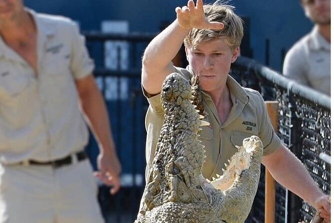 Australia Zoo Day Trip from Brisbane - Live shows and Crocoseum programs: plan around the sun