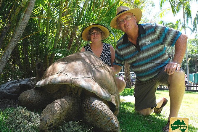 Australia Zoo Day Trip from Brisbane - Kangaroos early is the move, and the roo food tip helps