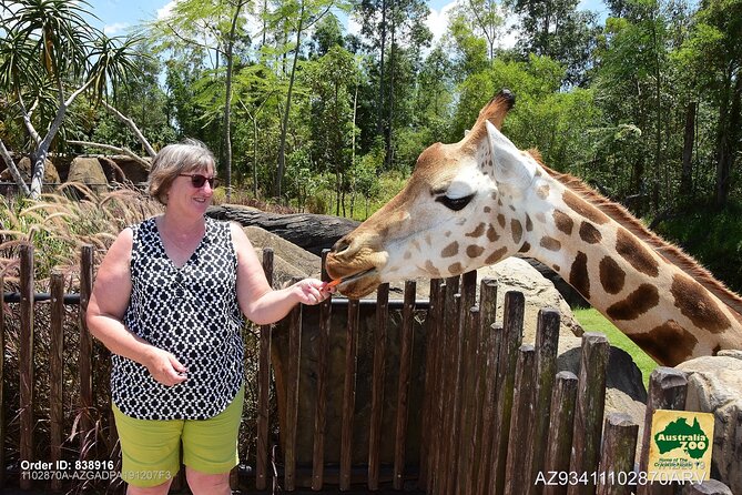 Australia Zoo Day Trip from Brisbane - Animal hospital access: more than a stop, it changes how you see the zoo