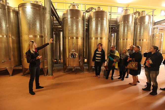 Award-Winning Hunter Valley Wine & Cheese Tour from Sydney - Lunch in Pokolbin: hot and cold options, plus a wine-friendly break