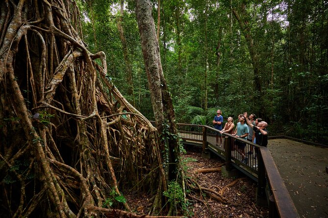 Barefoot Atherton Tablelands Adventure by Cairns Waterfalls - From Reef Fleet Terminal to the Tablelands, with a real start time