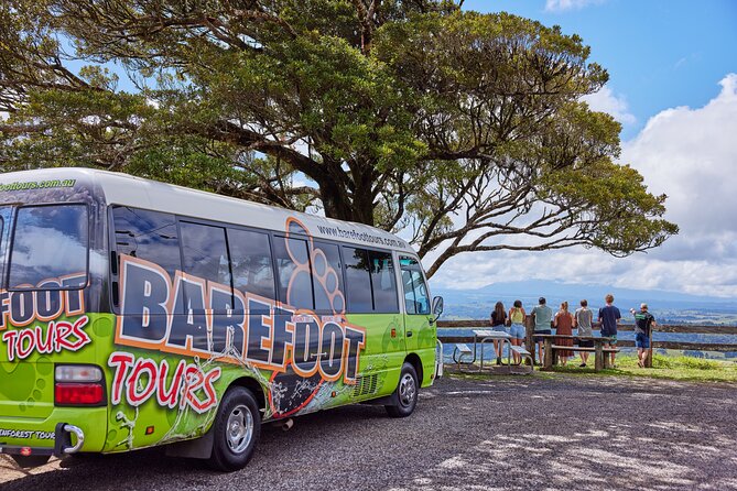Barefoot Atherton Tablelands Adventure by Cairns Waterfalls - Yungaburra platypus viewing platform, a wildlife-focused finale