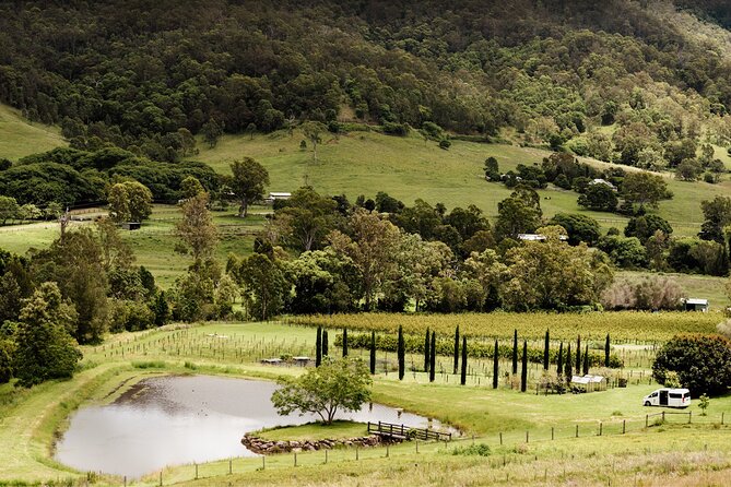 Barefoot Luxury Mount Tamborine Winery Tour from Brisbane - Mount Tamborine Made Easy from Brisbane