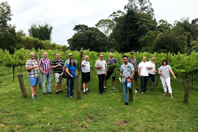 Barefoot Luxury Mount Tamborine Winery Tour from Brisbane - Your Morning Start: From South Bank to Queensland’s First National Park