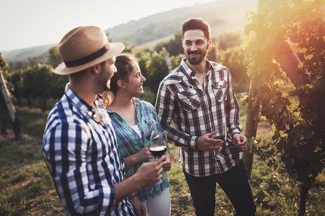 Barefoot Luxury Mount Tamborine Winery Tour from Gold Coast - Small-group attention, and guides like Pete, Simon, Michelle, and Chris