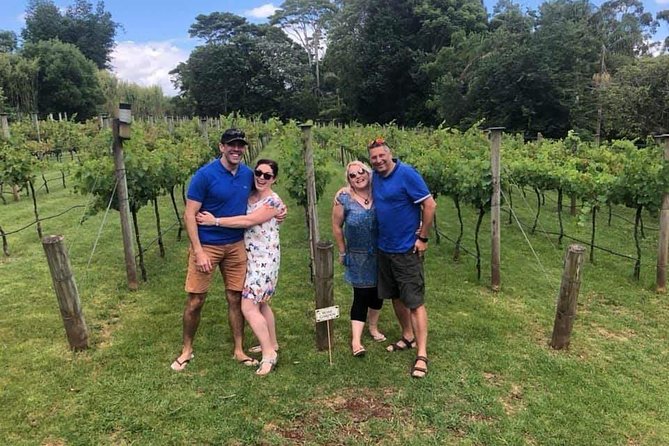 Barefoot Luxury Mount Tamborine Winery Tour from Gold Coast - National park views for a reset from tasting mode