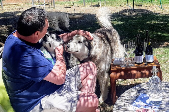 Barossa Private Wine Tour - Lunch That Actually Makes the Whole Day Feel Better