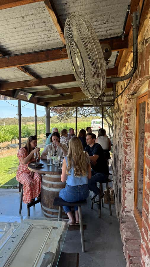 "Barossa Tour from Adelaide: 4 Tastings & Lunch Included" - Hemera Estate or Langmeil: choosing the style of Barossa