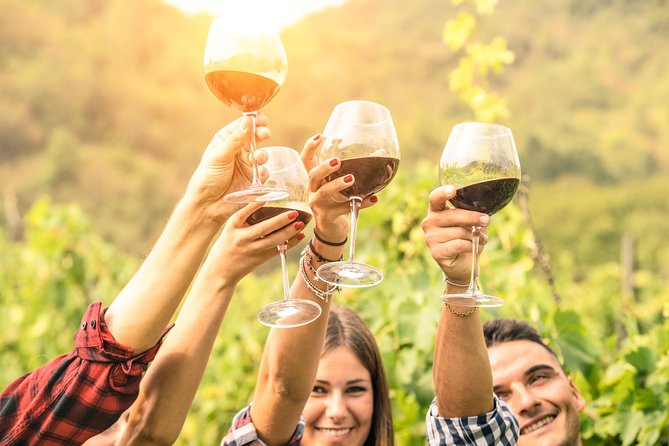 Barossa Valley Cellar Door Small Group Tour - How the day actually runs, from pickup to wine-friendly pacing