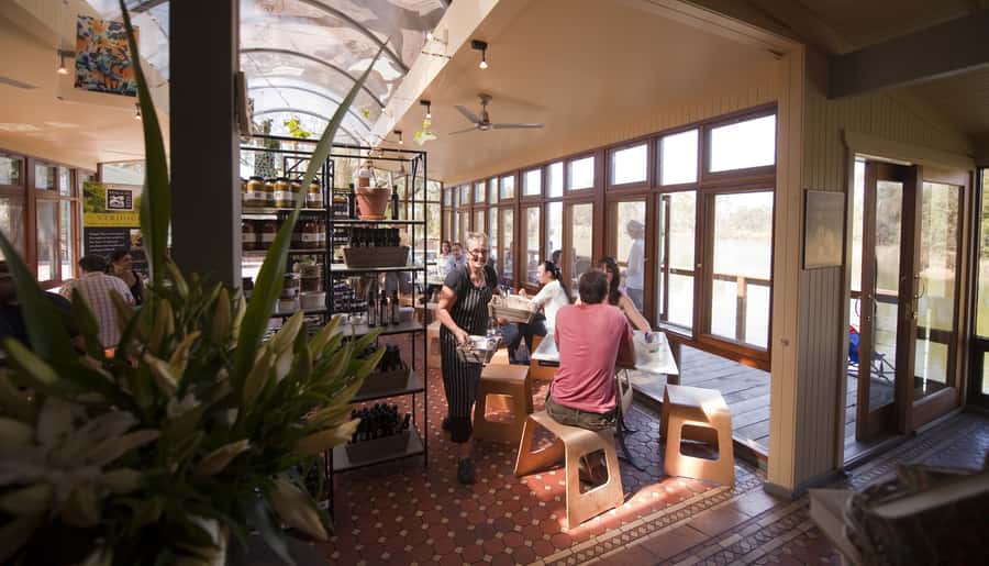 Barossa Valley: Hop-On Hop-Off Tour - Choosing your wineries when there are 150 options