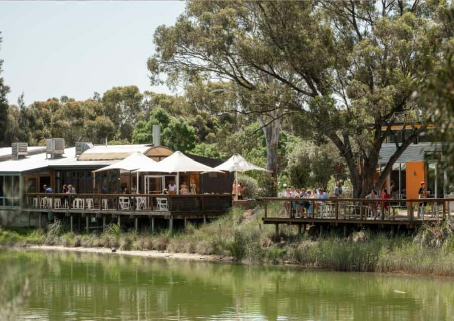 Barossa Valley: Maggie Beer's Wine Tasting & Cheese Platter - The 45-Minute Pheasant Farm Tasting, Step by Step