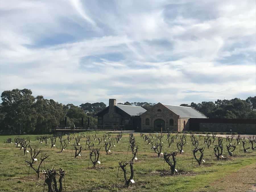 Barossa Valley: Small Group Wine Tour (Includes Lunch) - How the 4 to 5 stops usually play out
