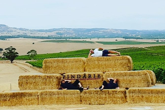 Barossa Wine Tasting shared tours - Wine Tasting Fees: The Real Budget Check