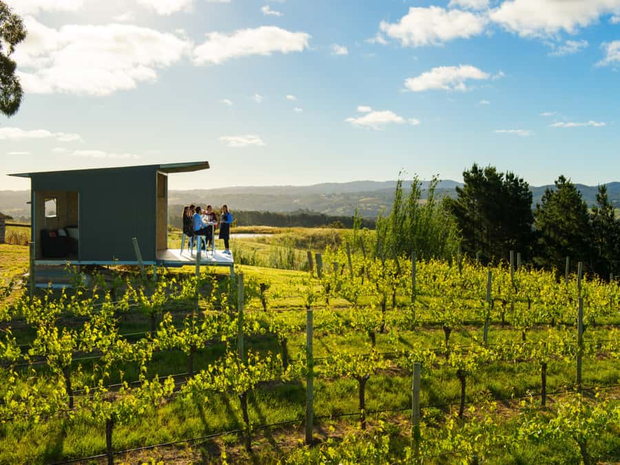 Barossa Wine Tour: Small Group 8 max, Rare, Unique, Premium - What Your Day Looks Like: Pacing, Stops, and Lunch at The Greenock