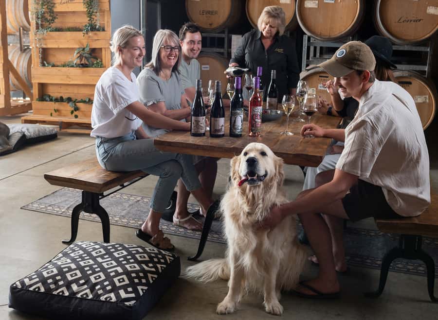 Barossa Wine Tour: Small Group 8 max, Rare, Unique, Premium - Who This Tour Suits Best