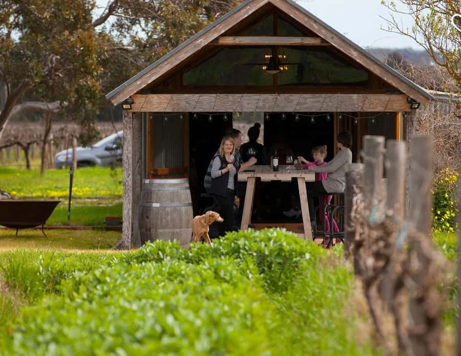 Barossa Wine Tour: Small Group 8 max, Rare, Unique, Premium - The 8-Guest Group Size, and Why It Changes Everything