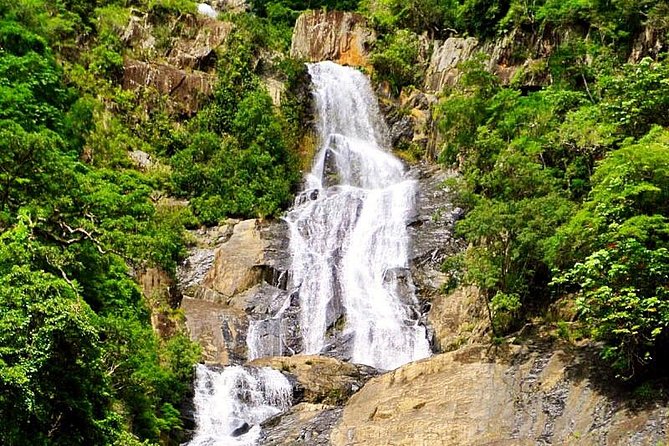 Barron Gorge and Kuranda National Park Half Day Rainforest and Waterfall 4WD Tour from Cairns - The guides: why the best moments often come from the person behind the wheel