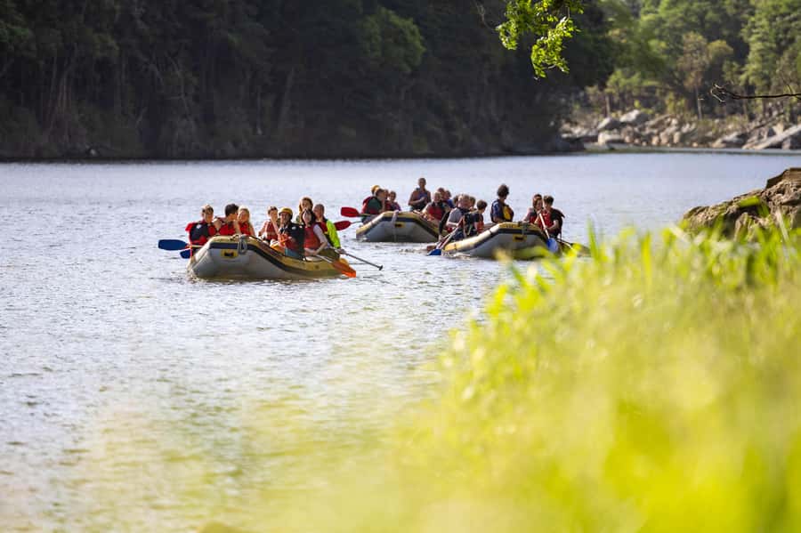 Barron Gorge: Half-Day Barron River White-Water Rafting - What you actually pay: $81 plus the River Levy and add-ons