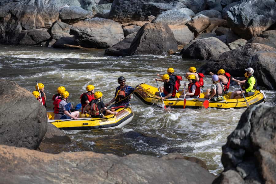 Barron Gorge: Half-Day Barron River White-Water Rafting - Who this half-day Barron Gorge rafting trip is best for