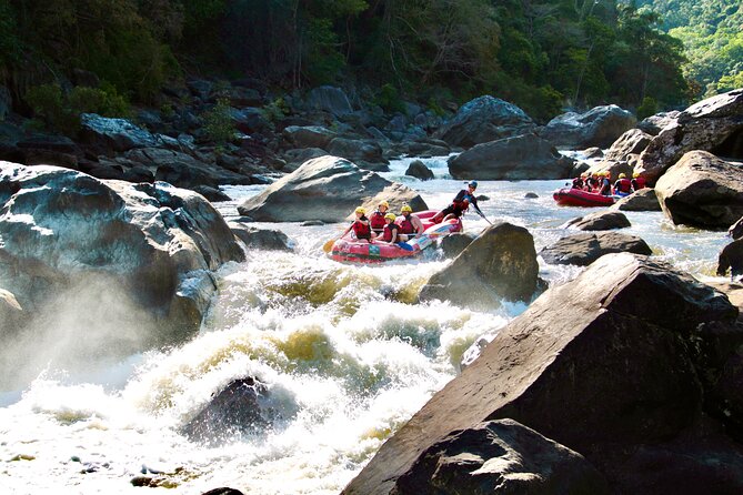 Barron Gorge White Water Rafting from Cairns or Port Douglas - From Cairns or Port Douglas, Barron Gorge is a practical thrill