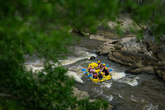 Barron River Half-Day White Water Rafting Cairns or Port Douglas - Wet Tropics Stop 1 and Barron Gorge Stop 2: Why the Half Day Still Feels Full