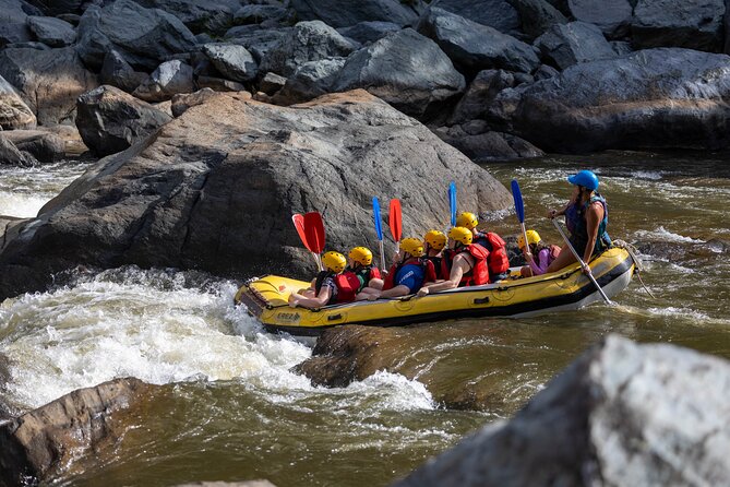 Barron River Half-Day White Water Rafting Cairns or Port Douglas - Price and Value: $91.81 Plus the A$30 River Levy