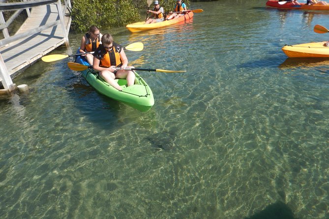 Batemans Bay Glass-Bottom Kayak Tour Over 2 Relaxing Hours - Key things to know before you go