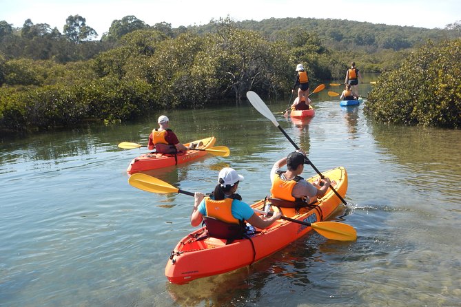 Batemans Bay Glass-Bottom Kayak Tour Over 2 Relaxing Hours - Why a glass-bottom kayak works so well in Batemans Bay