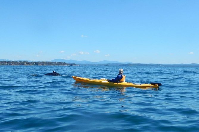 Batemans Bay Glass-Bottom Kayak Tour Over 2 Relaxing Hours - Family-friendly details that make or break beginner kayaking