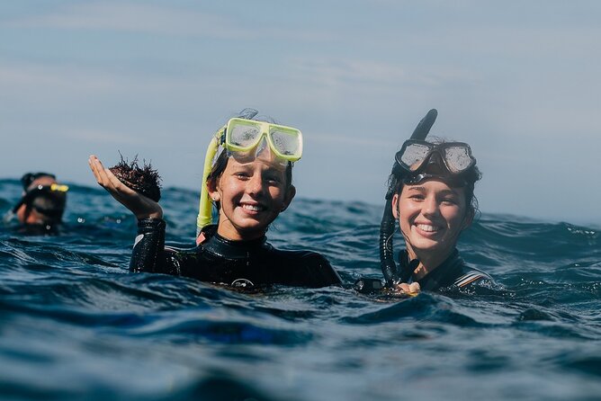 Batemans Bay Glass-Bottom Kayak Tour Over 2 Relaxing Hours - Price and value: what $99.70 gets you (and why that matters)