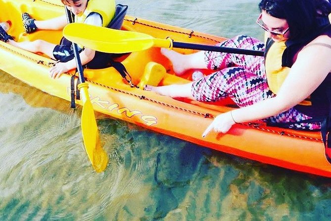 Batemans Bay Glass-Bottom Kayak Tour Over 2 Relaxing Hours - What seeing wildlife is likely to feel like (no guarantees, but real chances)