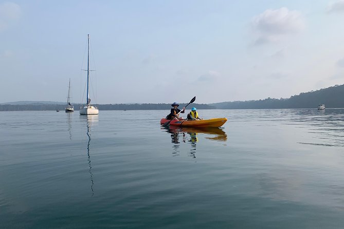 Batemans Bay Glass-Bottom Kayak Tour Over 2 Relaxing Hours - Should you book this glass-bottom kayak tour in Batemans Bay?