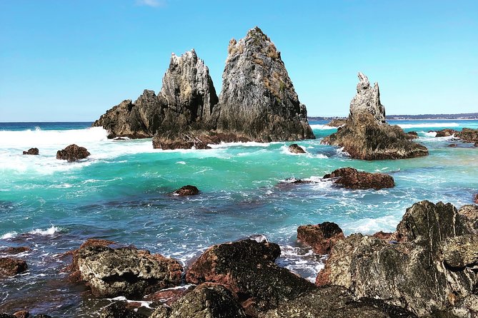 Batemans Bay Oyster Tasting Kayak Tour - Guides and group size: why it feels calm instead of chaotic