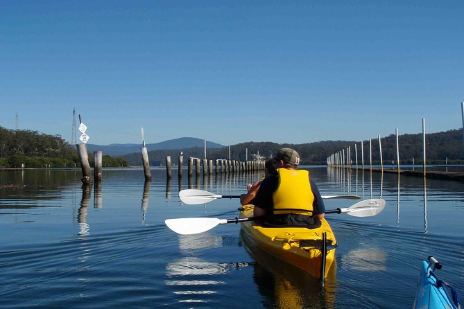 Batemans Bay Oyster Tasting Kayak Tour - Oyster Shed stop: sampling oysters plus the opening demonstration