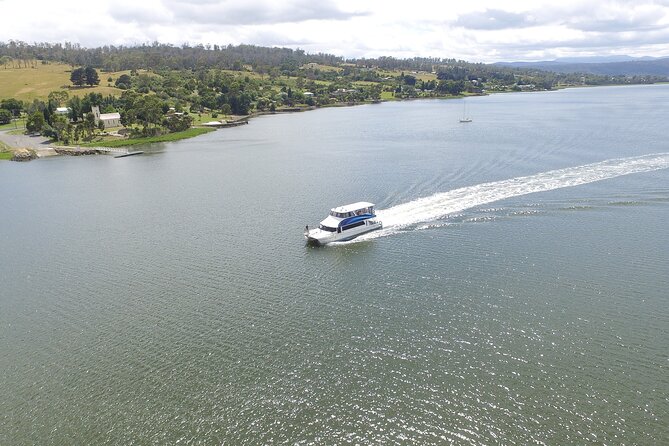 Batman Bridge 4 Hour Luncheon Cruise including sailing into the Cataract Gorge - Cataract Gorge and Batman Bridge: Timing, Views, and What to Expect