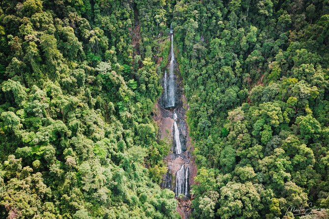 Beautiful Daintree Waterfall Walk, Magical Swim & Heavenly Lunch - The chef-cooked lunch stop that sets the tone