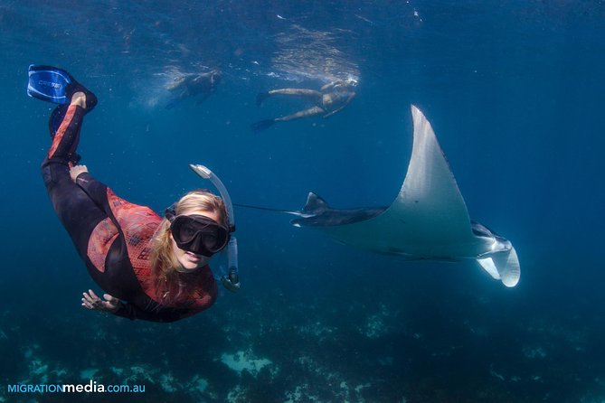 Best of Ningaloo Mantas and More - Avoiding the crowd factor, without losing the best sights
