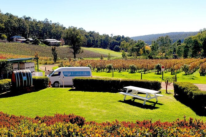 Bickley Valley Wine, Cider & Gin Tour - Premium Small Group Tour - Key things you will notice on this Bickley Valley tour