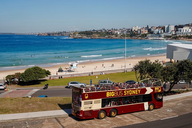 Big Bus Sydney and Bondi Hop-on Hop-off Tour - Entering Big Bus Sydney: what the pass really buys you
