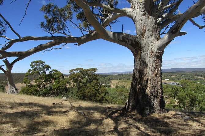 Big Red Full Day Private Tour - What tastings really mean, and how to budget without stress