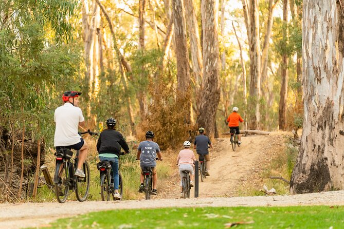 Bike to Winery Tour - E-bike to St Anne’s: what makes the ride feel easy